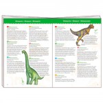 Casse-tête d'observation - Dinosaures